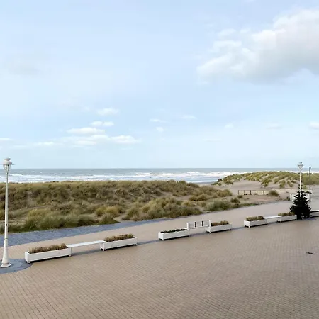 In Near Sandy Beaches