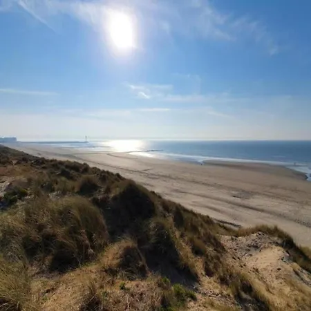 In Near Sandy Beaches