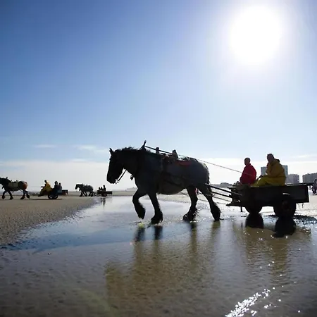 In Near Sandy Beaches Lägenhet