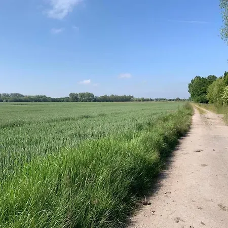 Lägenhet In Near Sandy Beaches