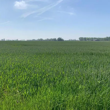 In Near Sandy Beaches Appartement *