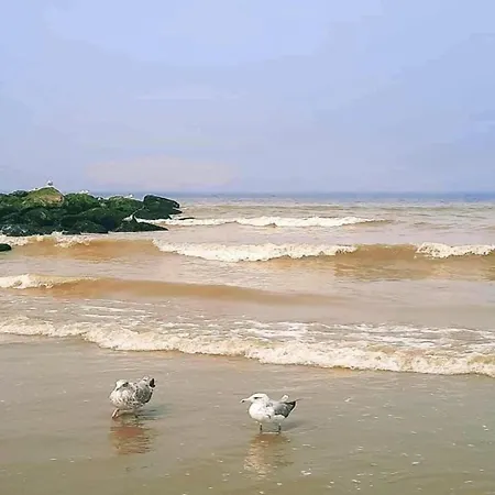 In Near Sandy Beaches Lägenhet Nieuwpoort
