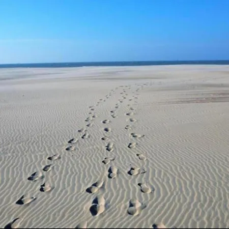 Appartement In Near Sandy Beaches Nieuwpoort