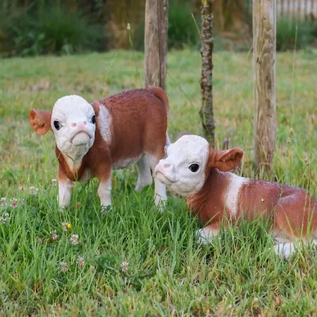 In Near Sandy Beaches Appartement