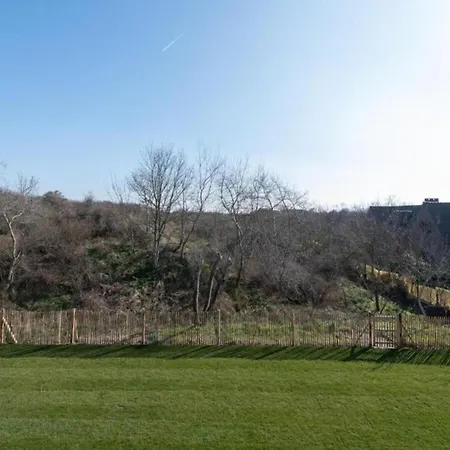 In Near Sandy Beaches