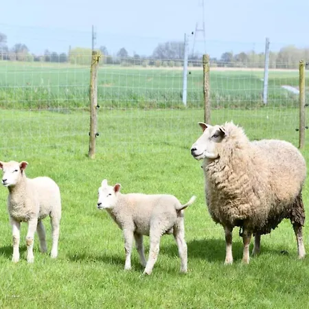 Appartement In Near Sandy Beaches